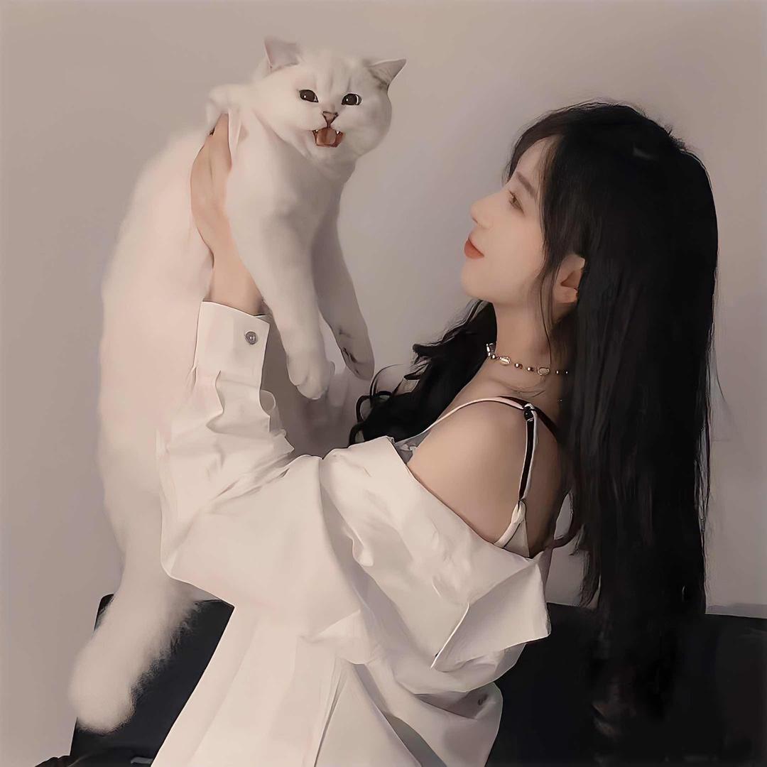 森森。