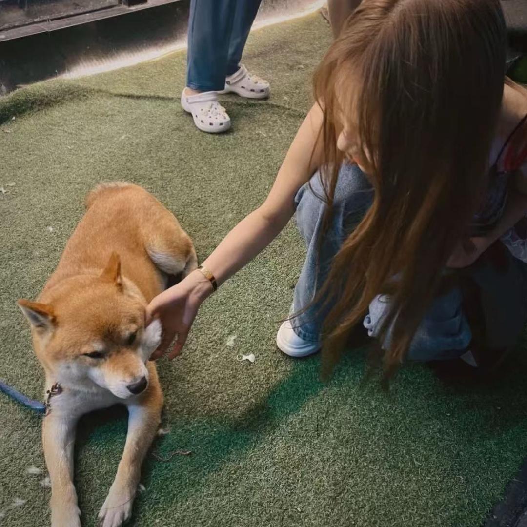 本就宅