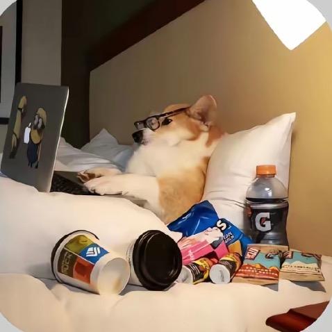 锦鲤plus²⁰²⁵