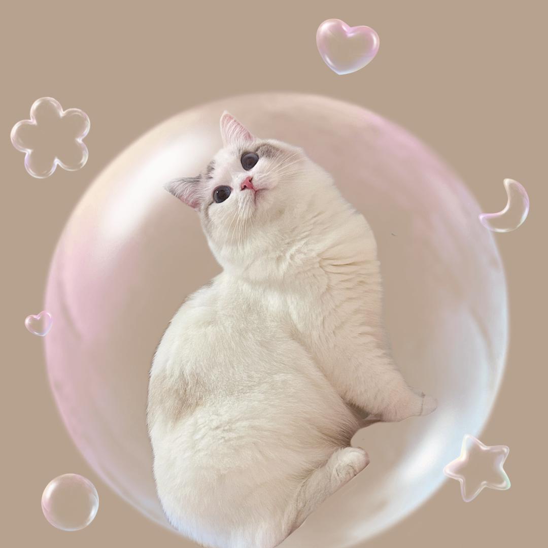 小杨很懒。