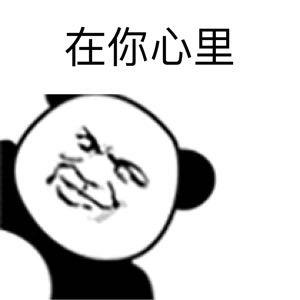 随心Egan