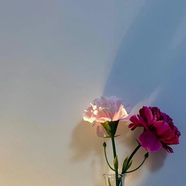 人生如梦❤ (ɔˆз(ˆ⌣ˆc)