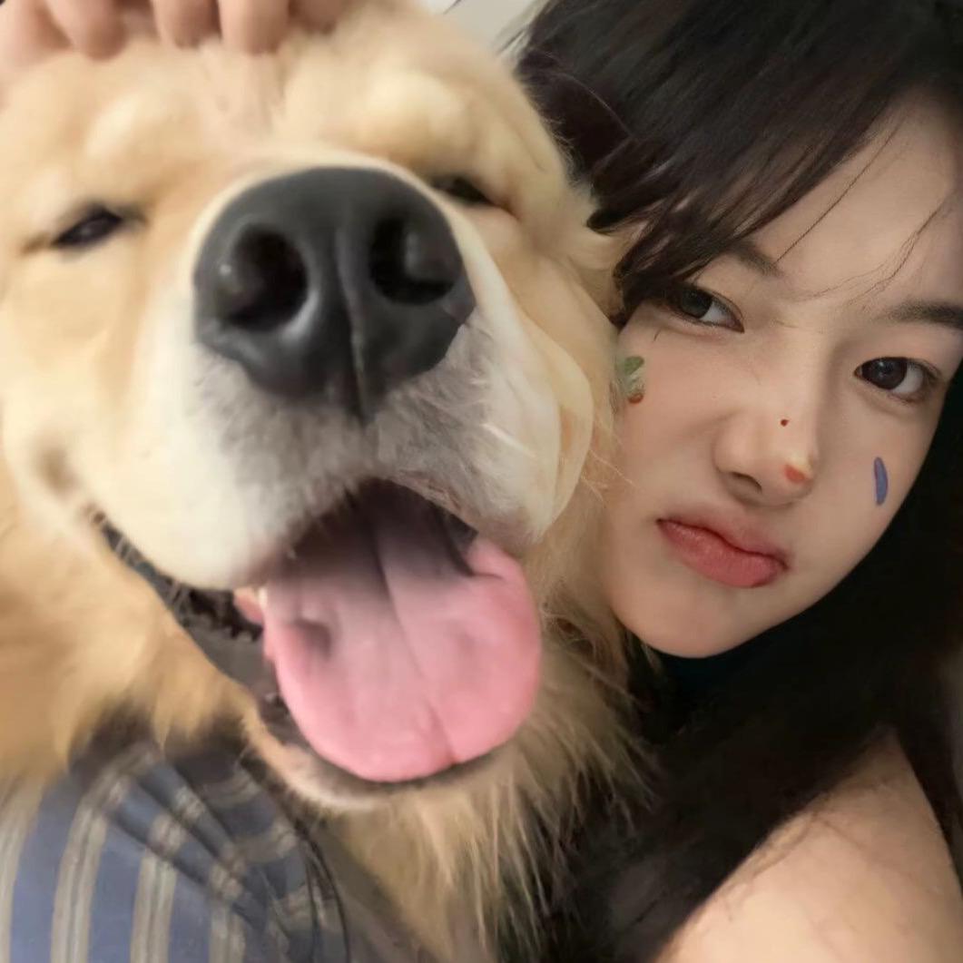 睡个好觉😴