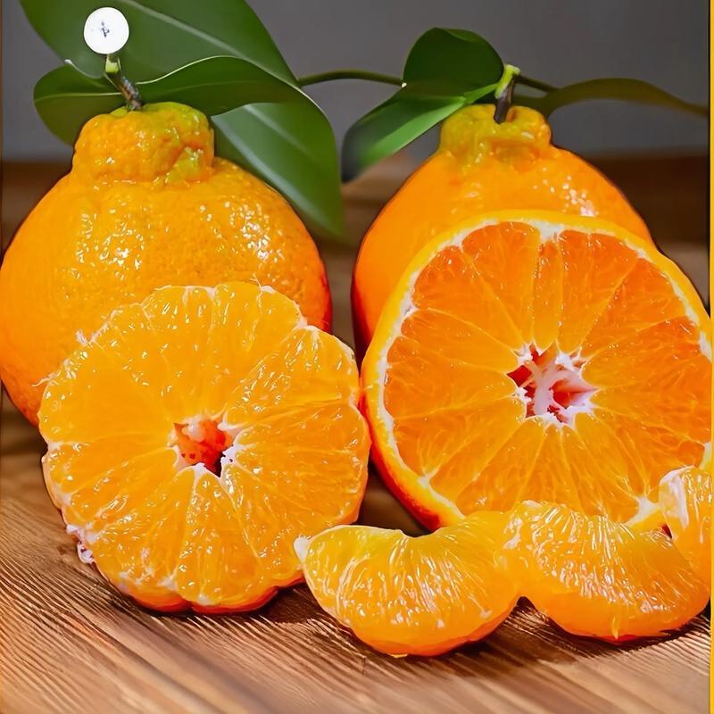 敏敏家的耙耙柑🍊