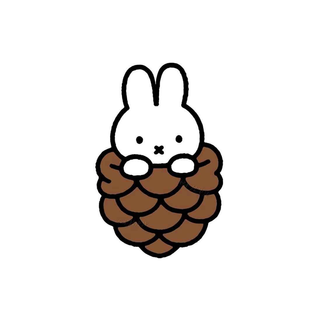 绝望的白色充电线