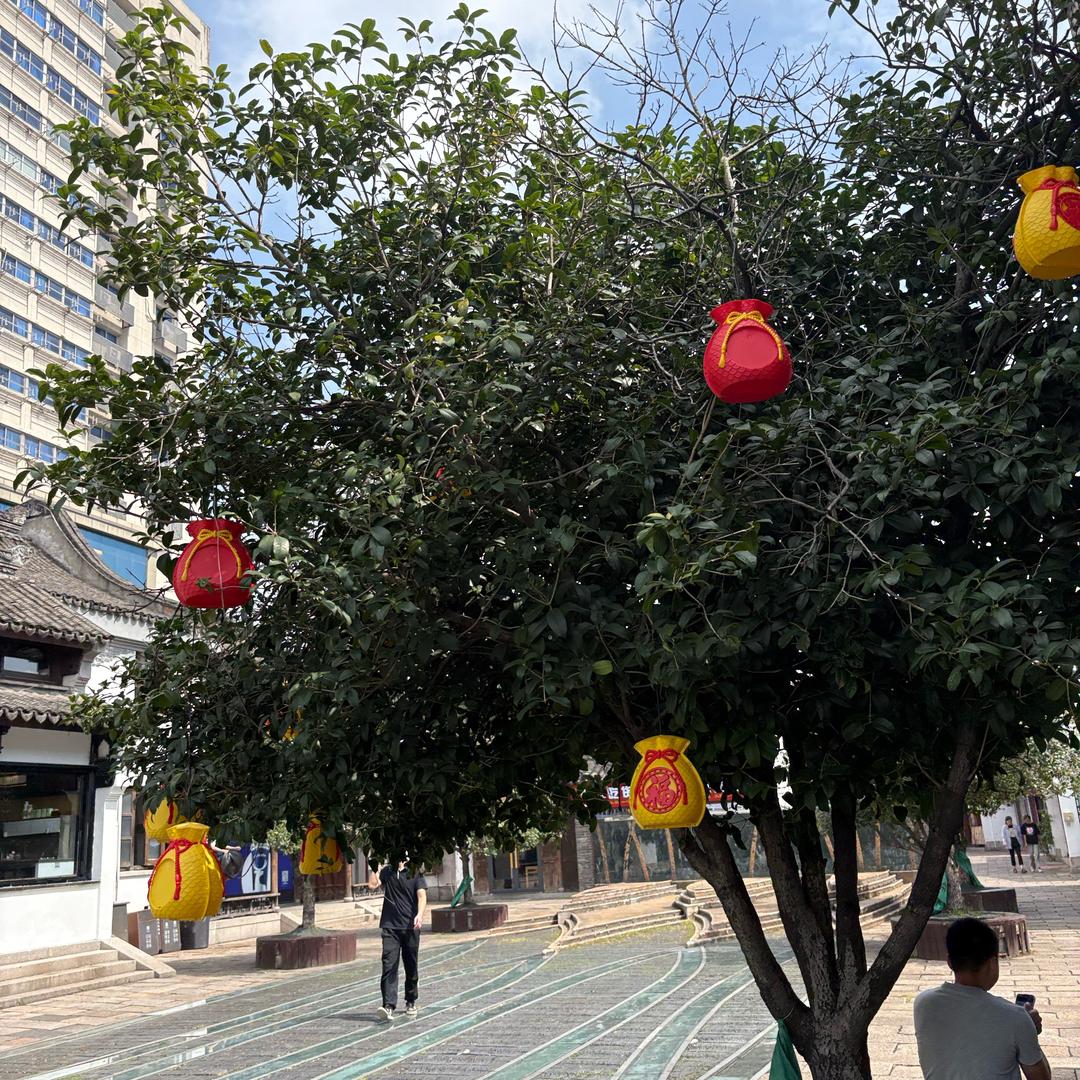 菩提树下