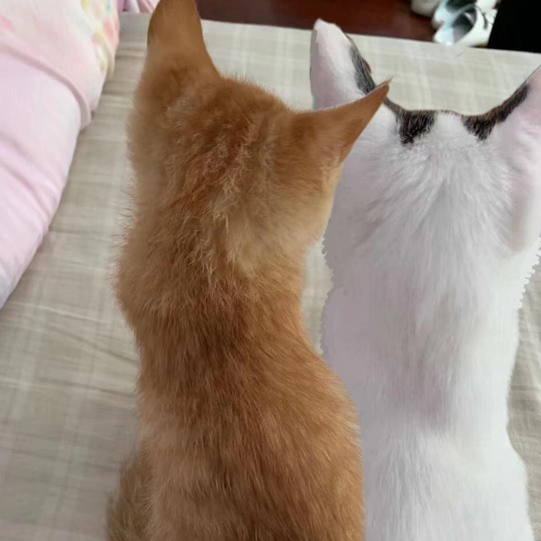 铱涵