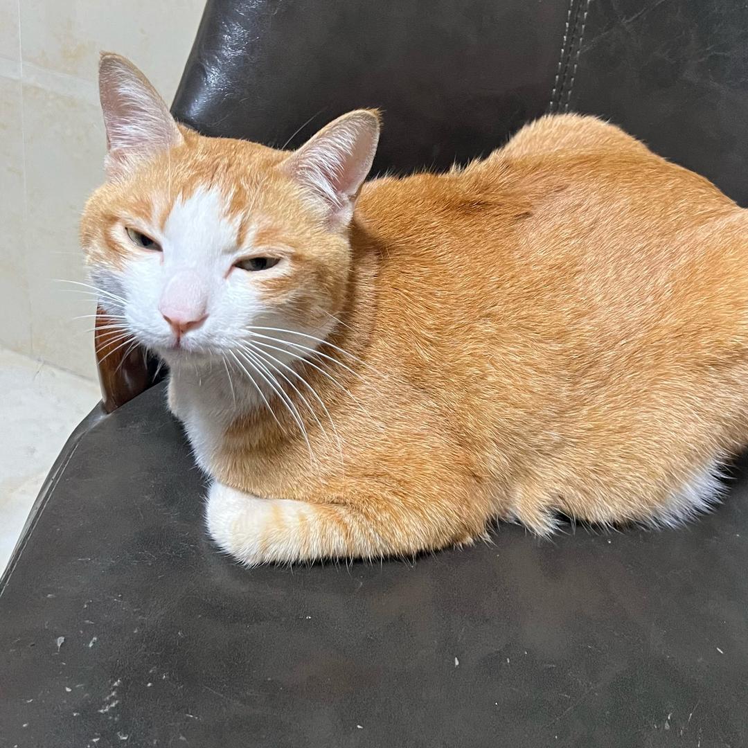 澳宇五金制品有限公司