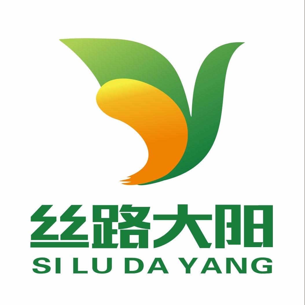 丝路大阳