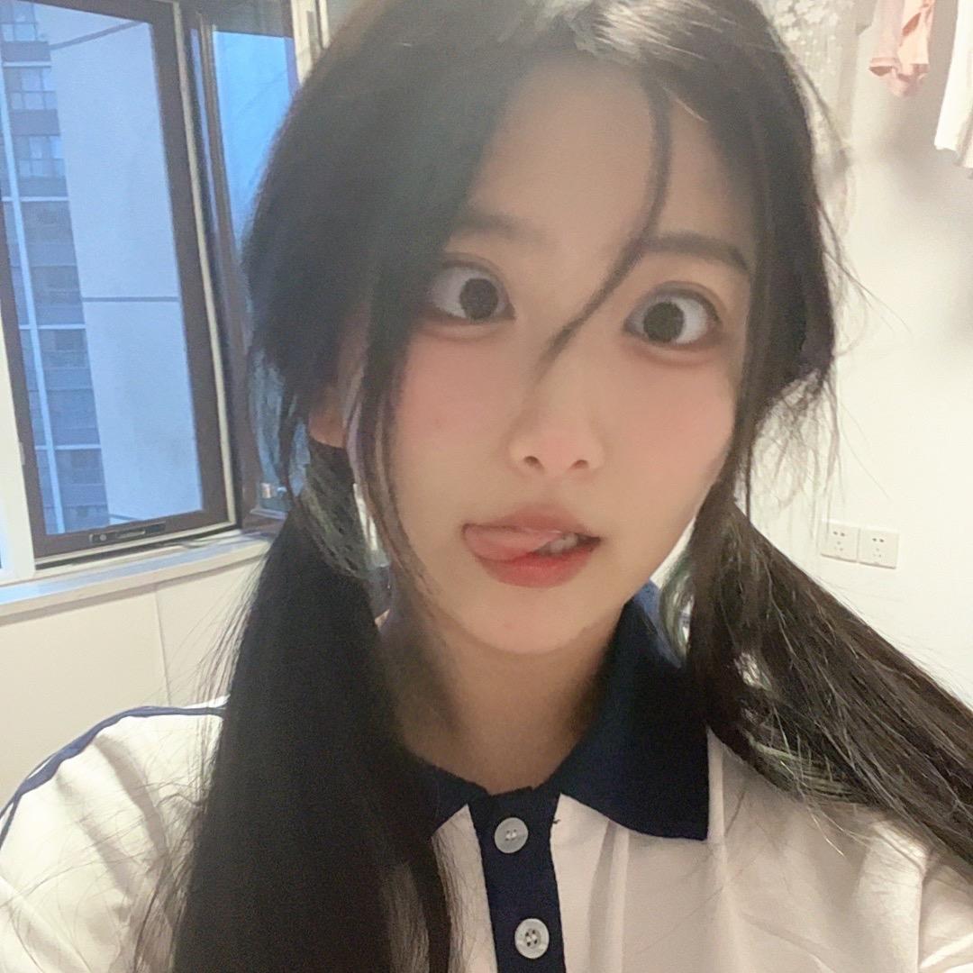 呆头鹅鹅鹅