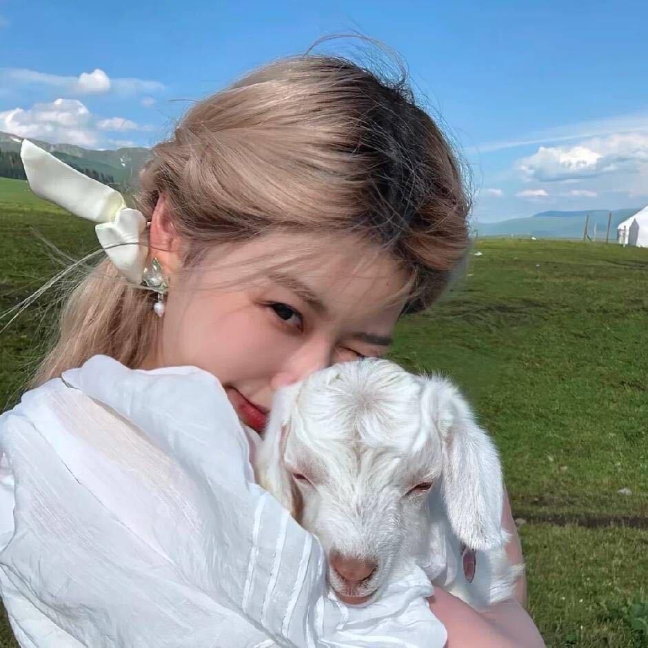 晴天小羊🐑