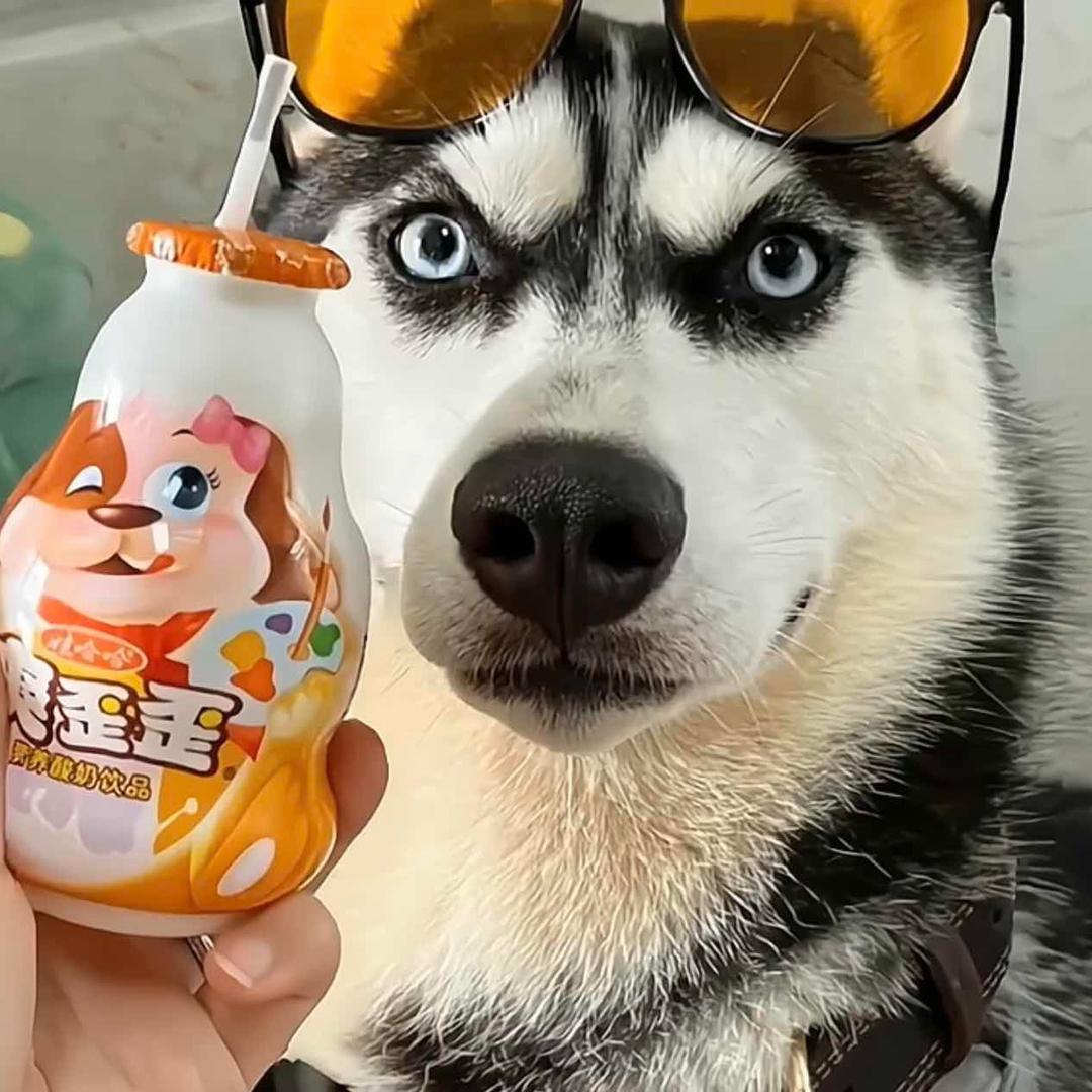 赵露思的正牌男友