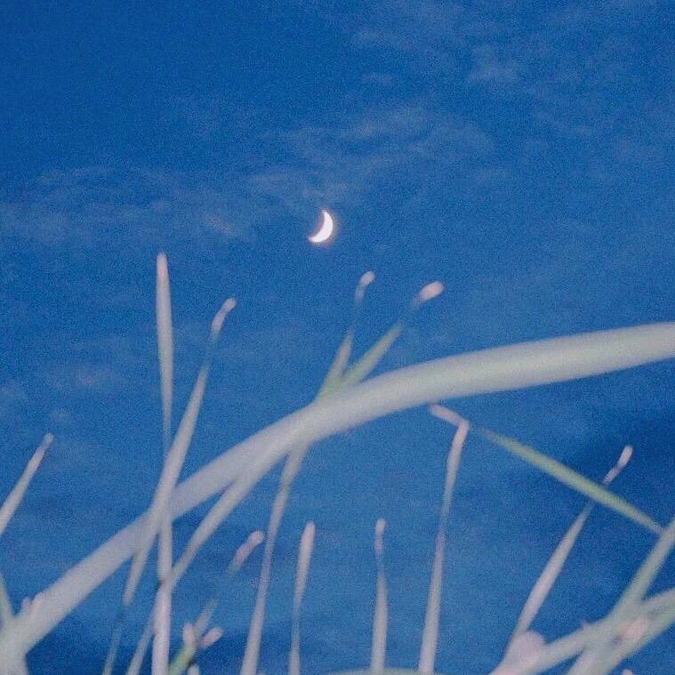 没去过的地方是远方