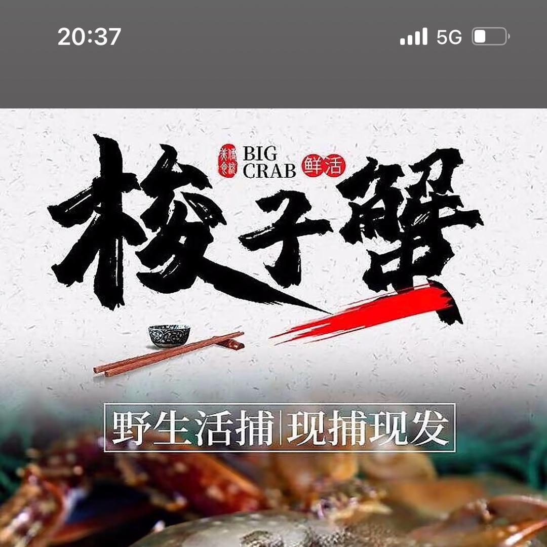 赶海铺