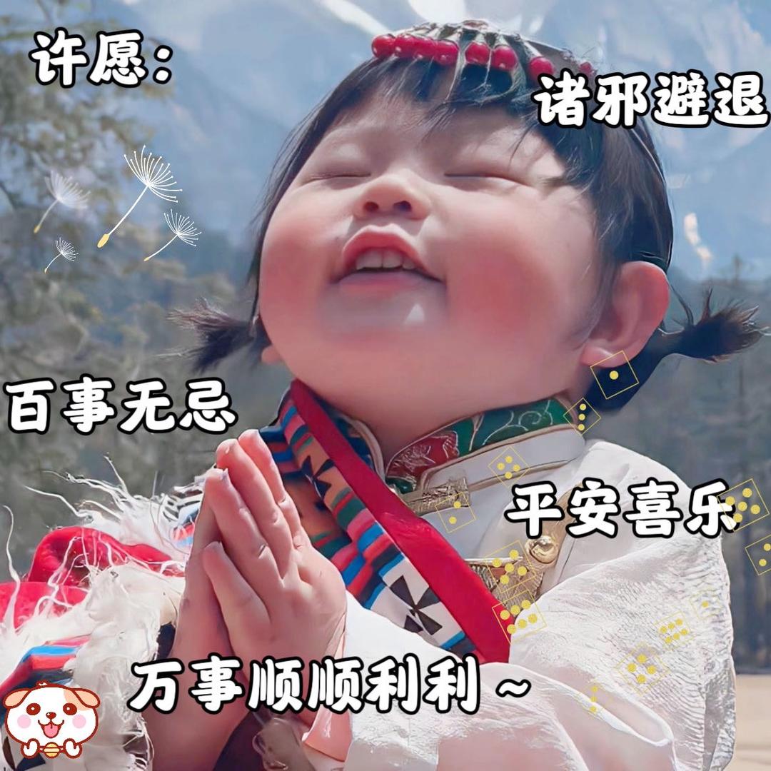 小太阳的守护者🌞