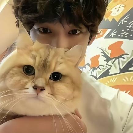 康康康康康康康