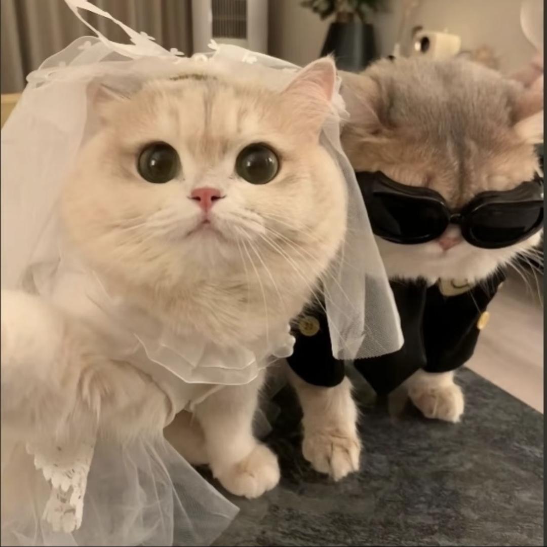 金秘书咋回事儿