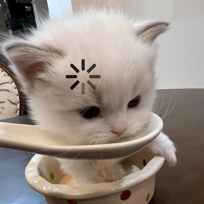 戴戴戴