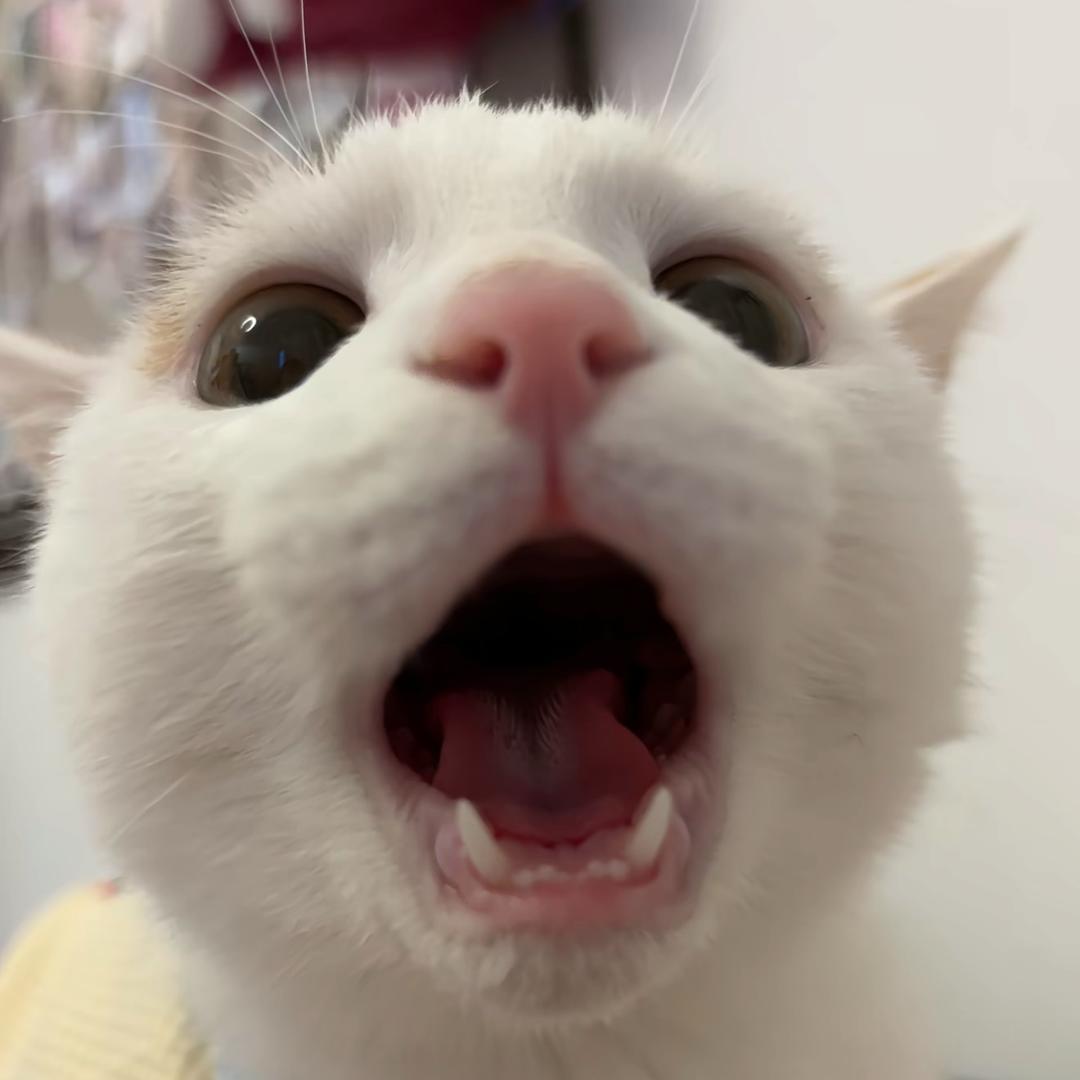 不要打扰我睡觉