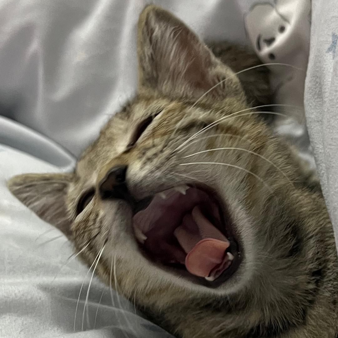 ooohhhhhhhhhhhhh