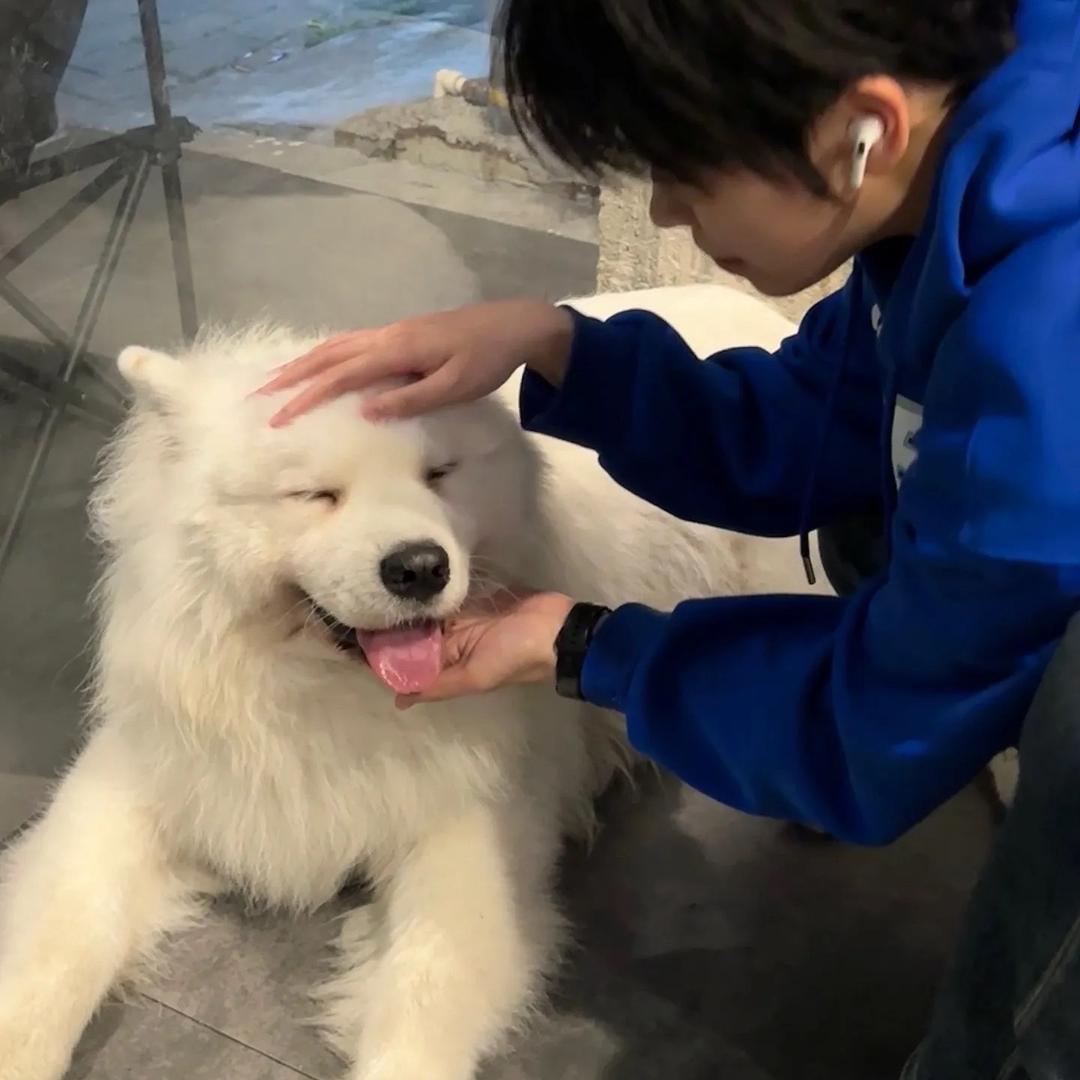 苏羽林