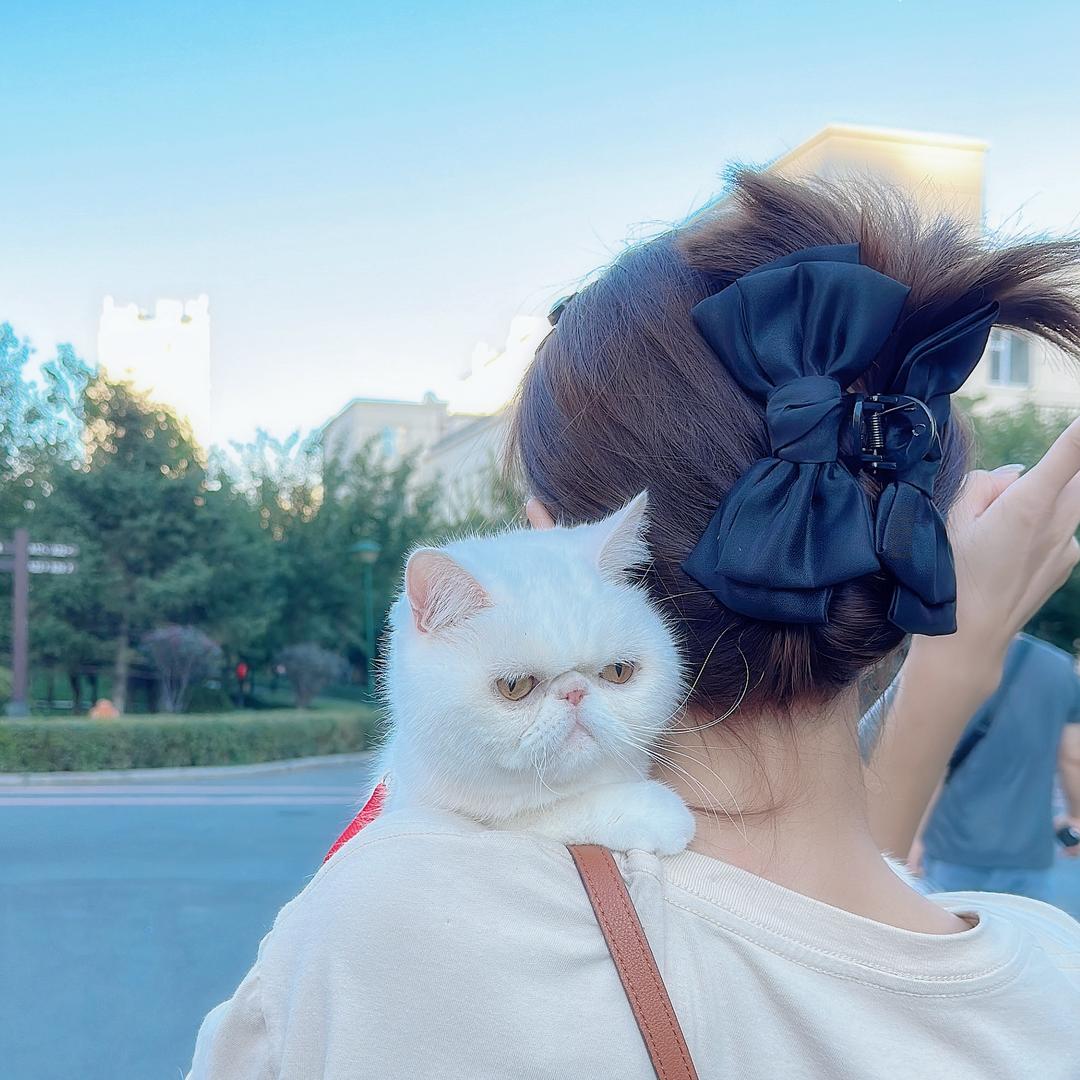 懂懂来啦