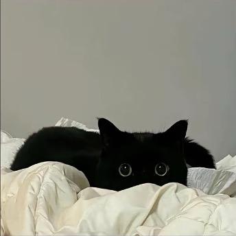 月玩月想玩