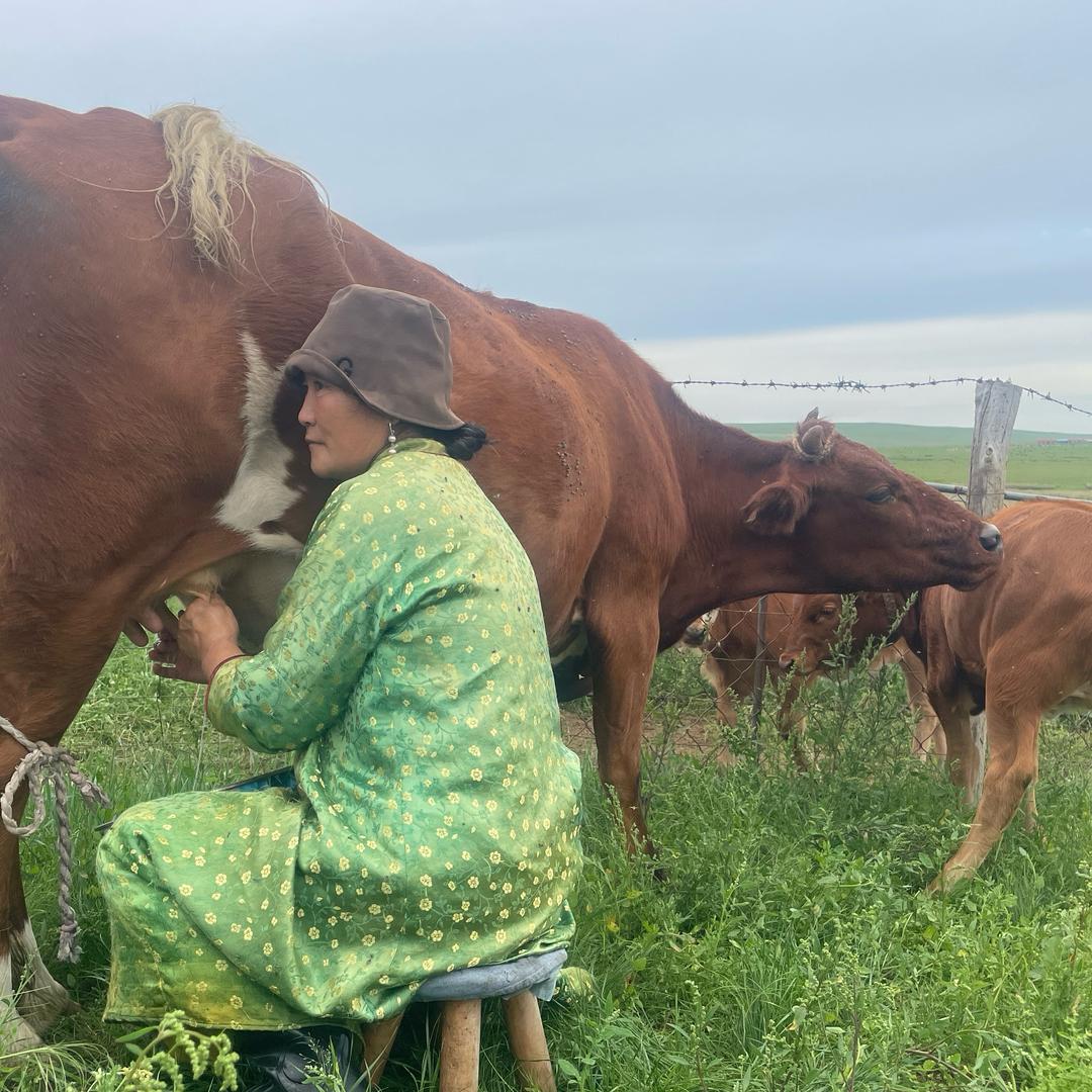 Malqin•牧民之家