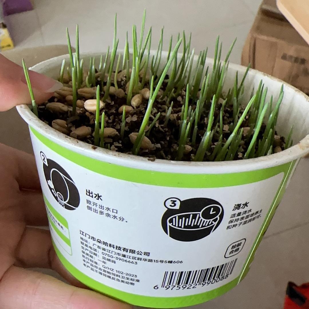 一闪一闪亮晶晶，！