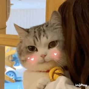 咩咩追漫剧头像