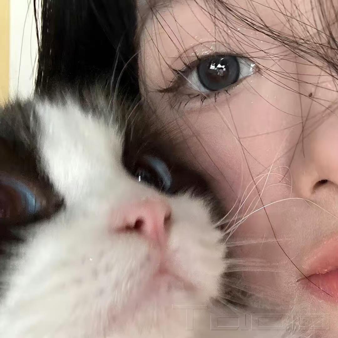 海边杂货铺