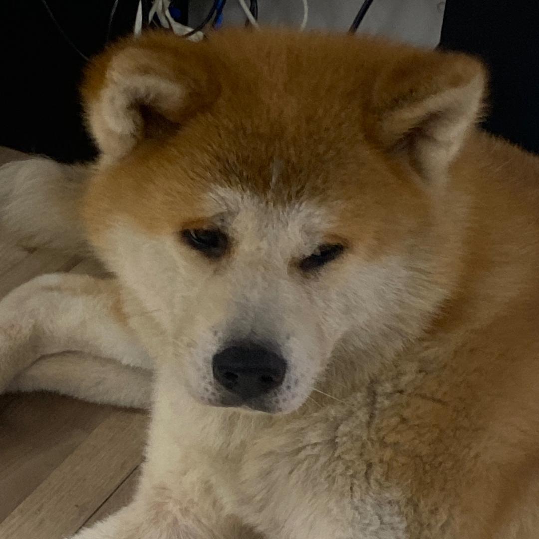 欣欣故事情节