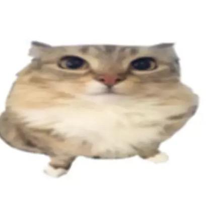 042