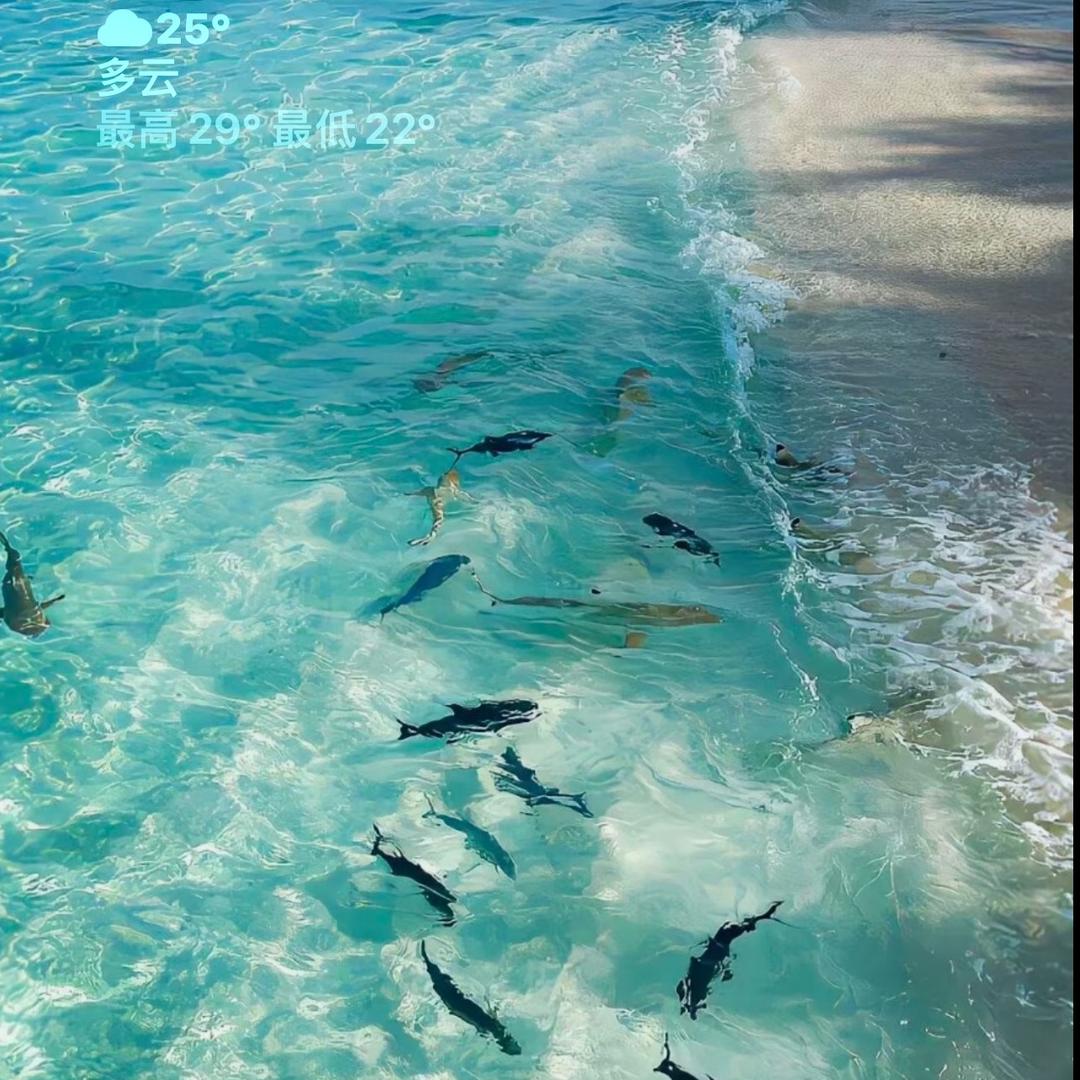 风卷狂沙