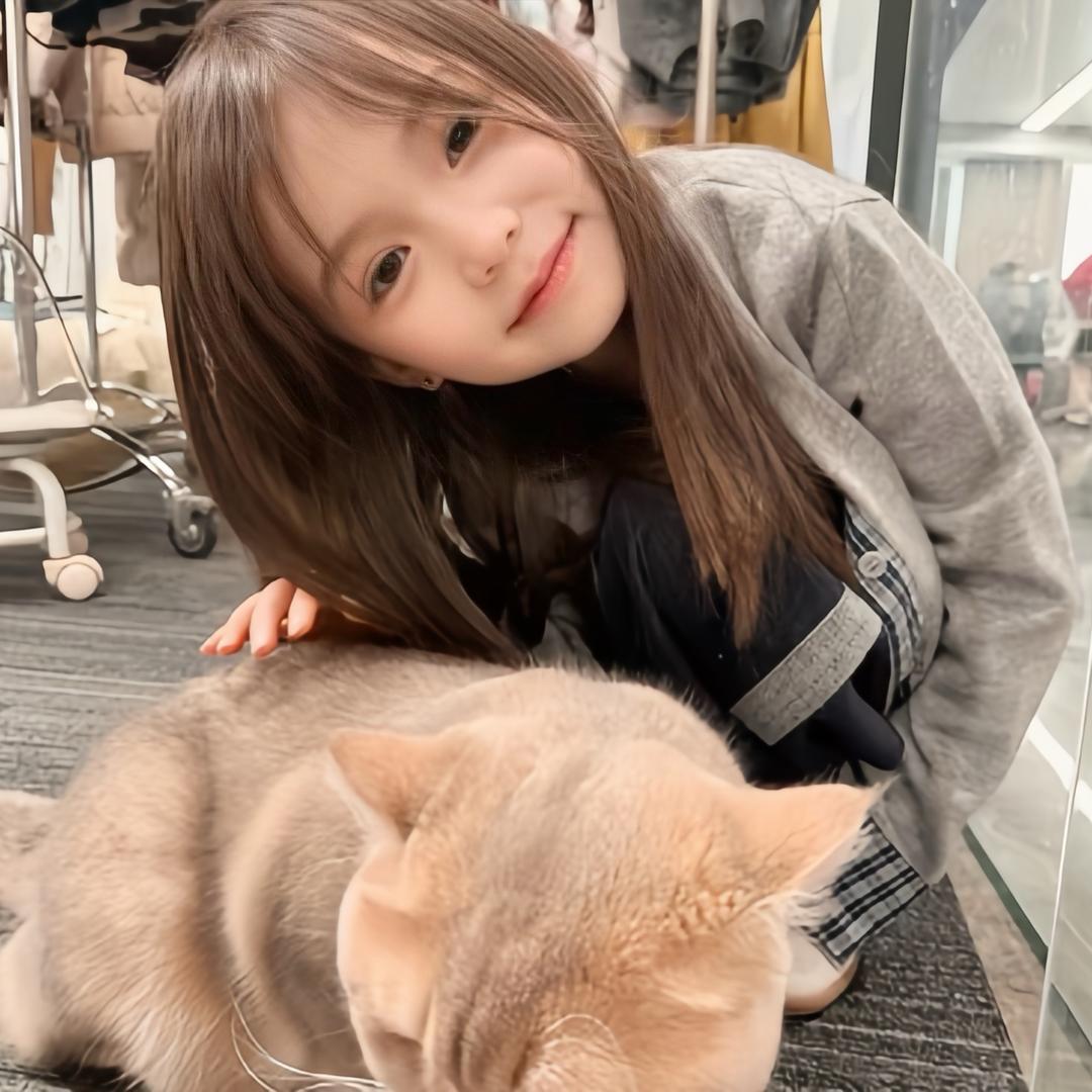 街道里的猫