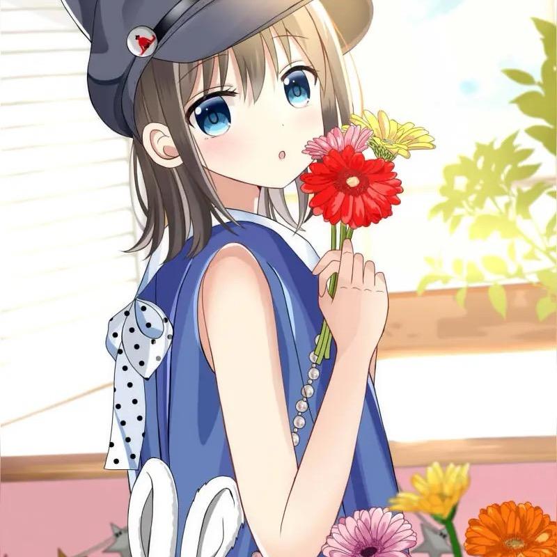 斑马的麻将日记