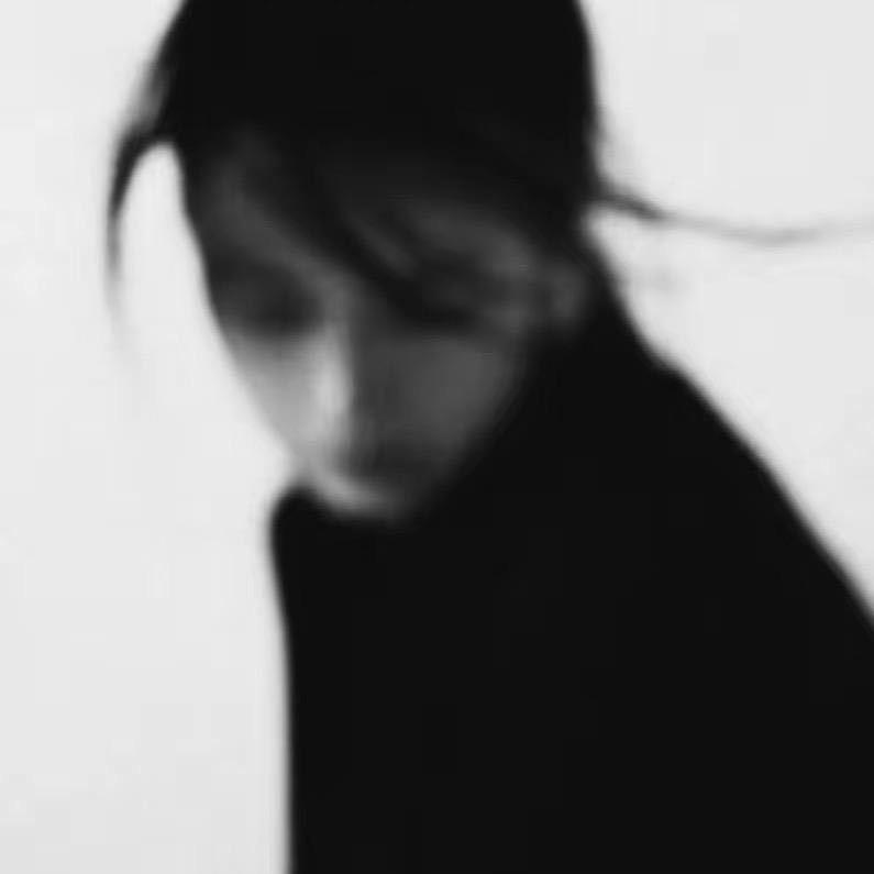 秦新