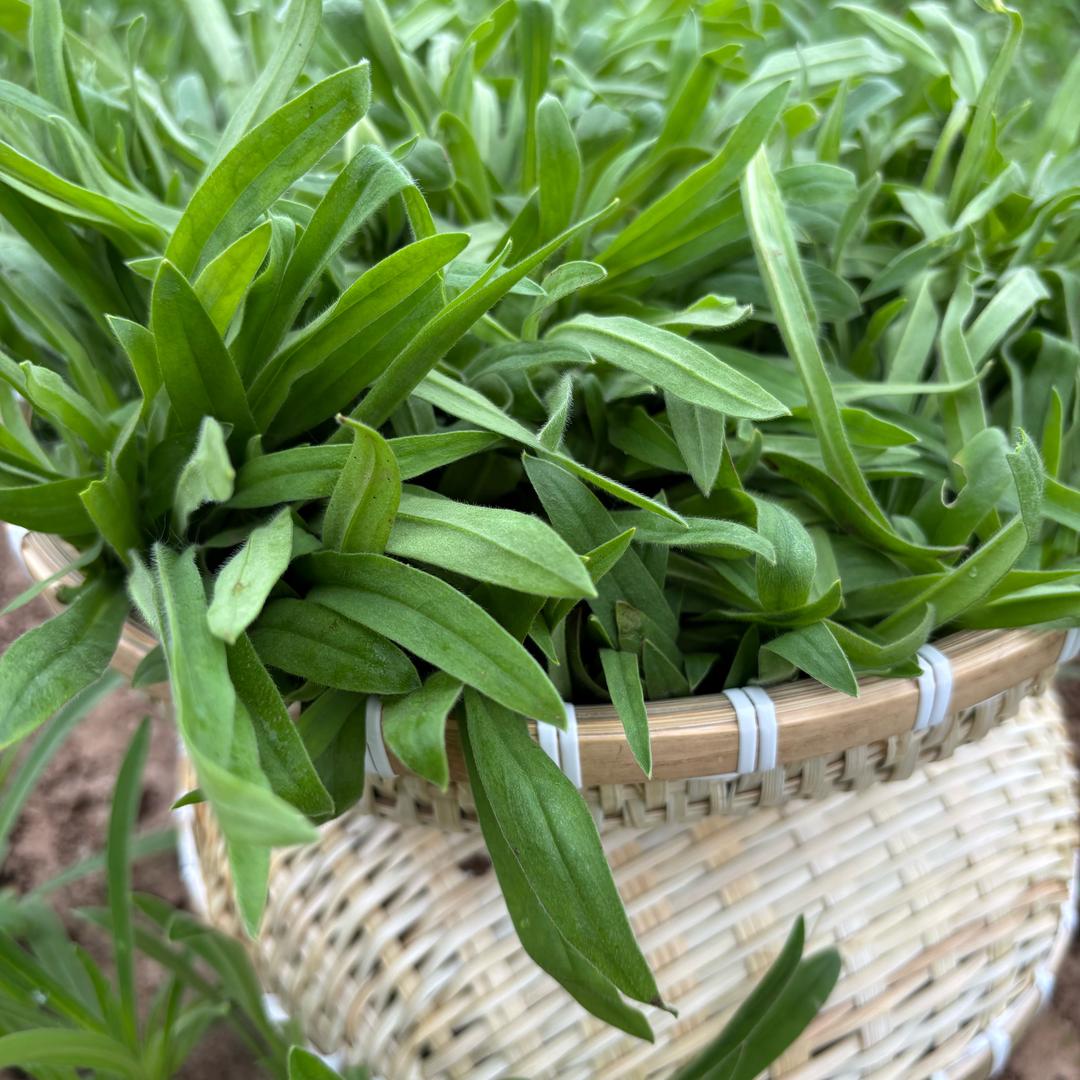 聊东昌赵家铺子农食精选
