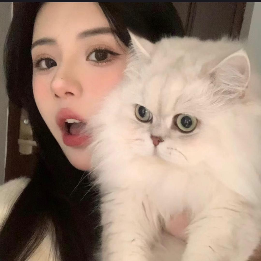 鱼儿要努力🐟