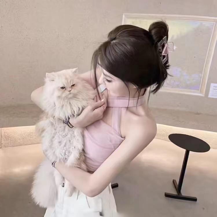安河桥头