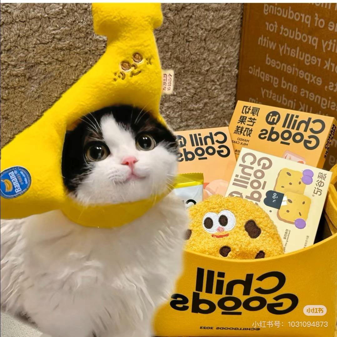 小福猫🐱（带娃版 3M+）