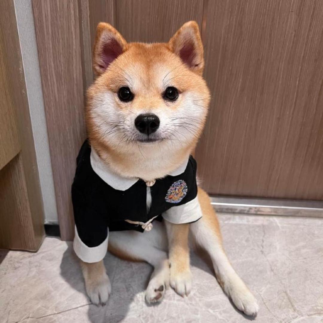 好久不见