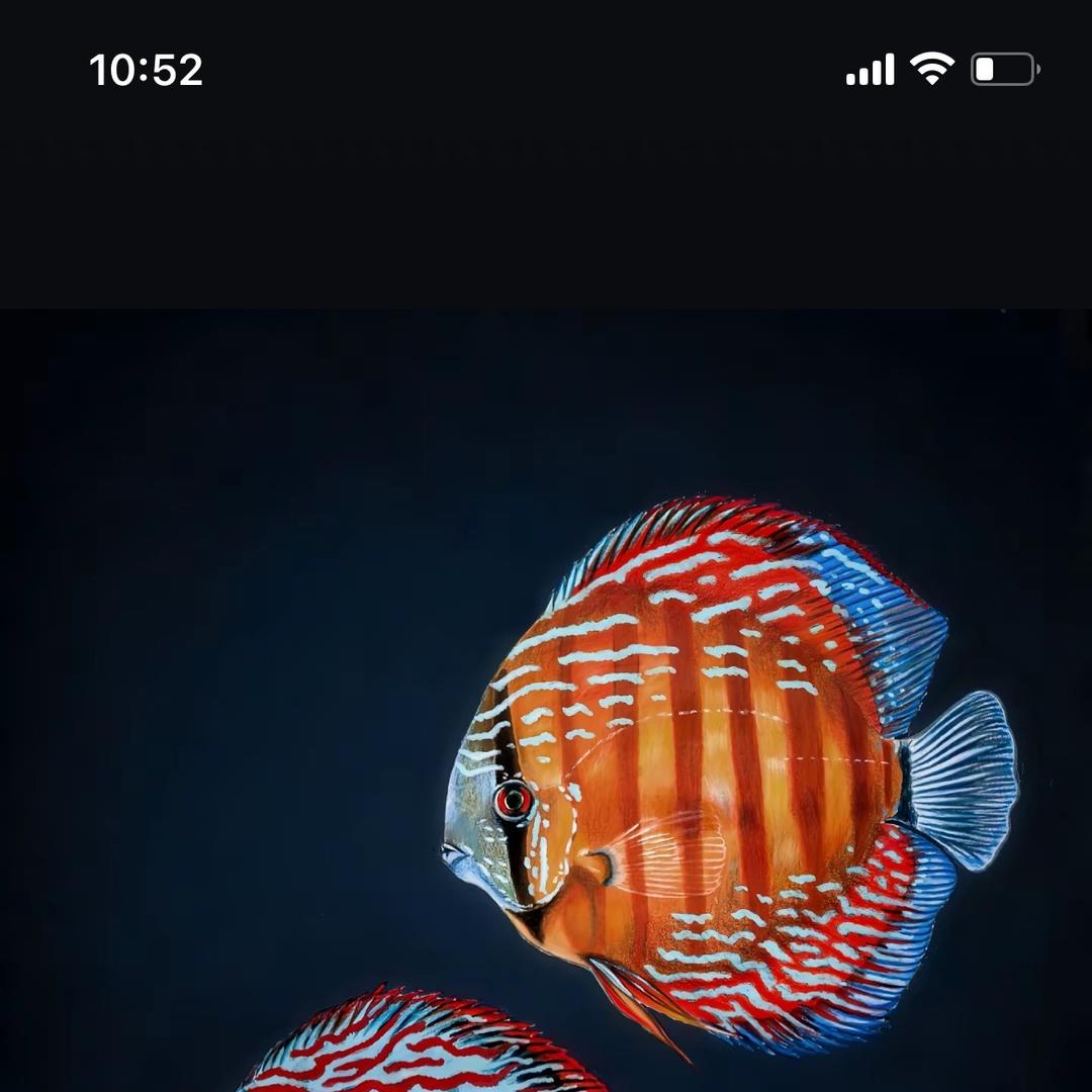 峰哥水世界