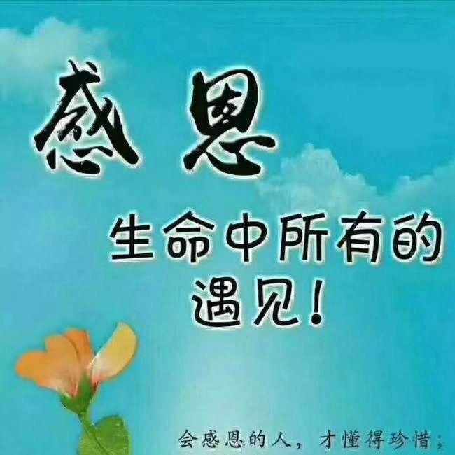 你若不离🐷我定不弃