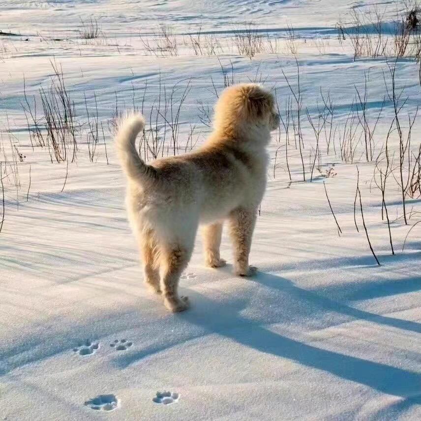 有点什么