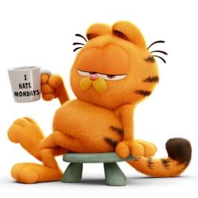 老王的加菲猫家族美食