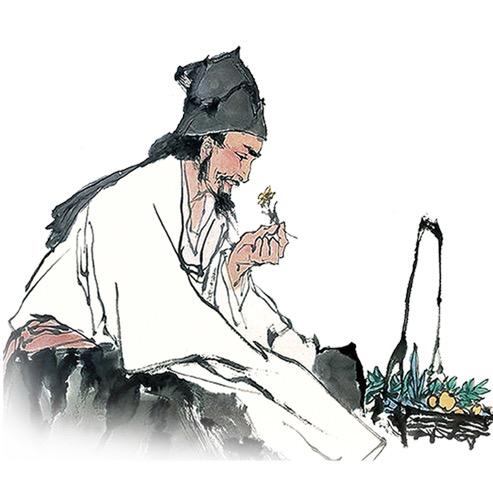 李时珍精品严选