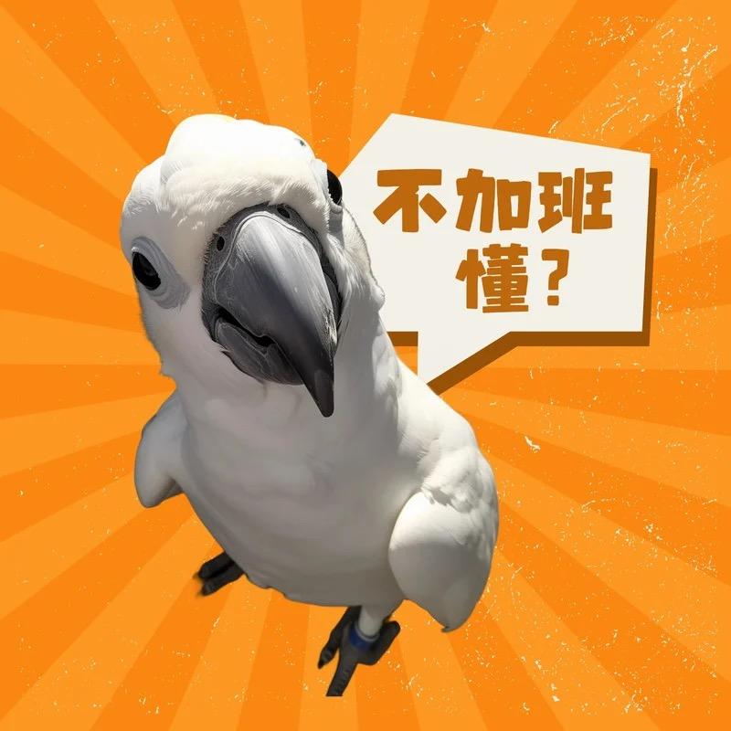 漂白就不黑了