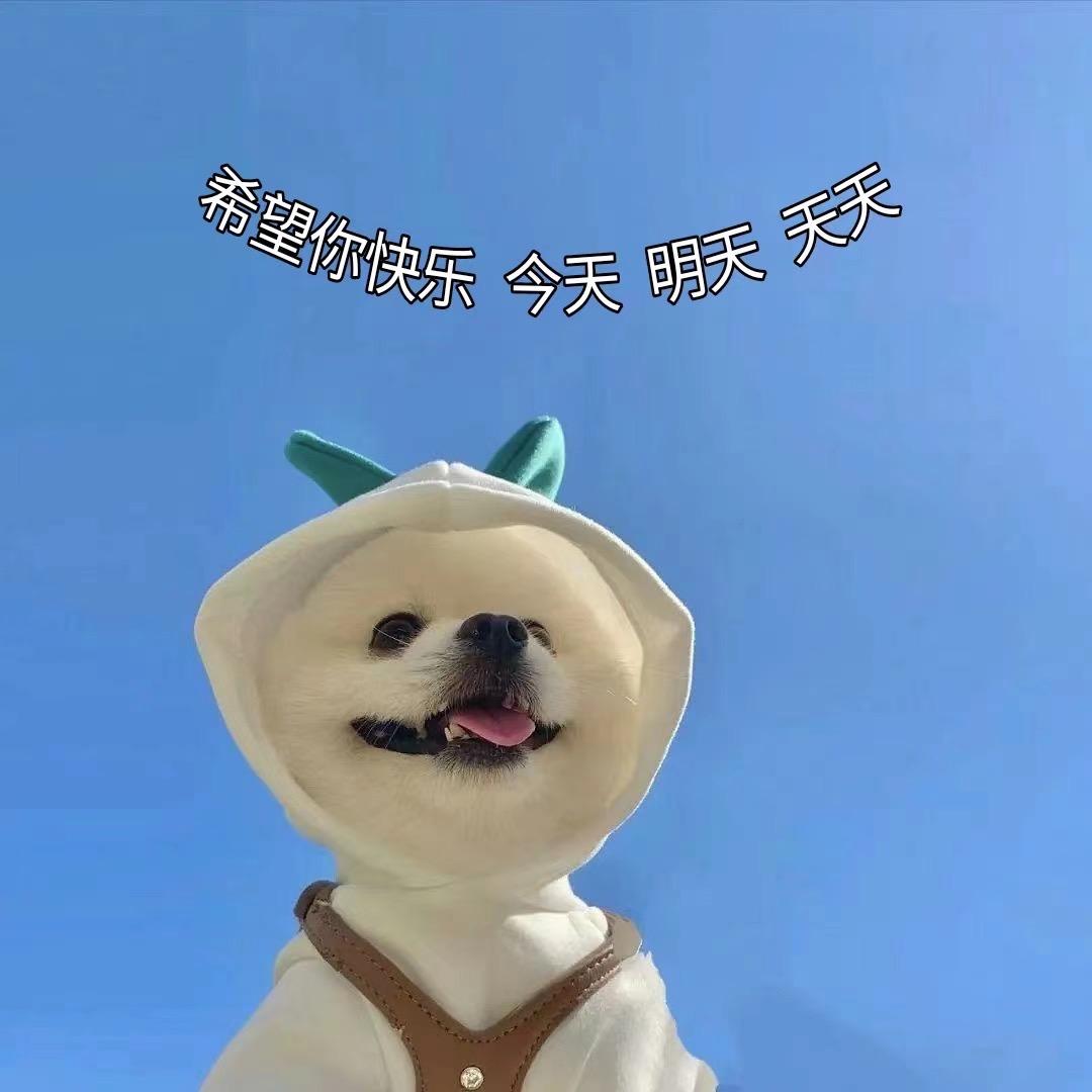 你的 啊～楚