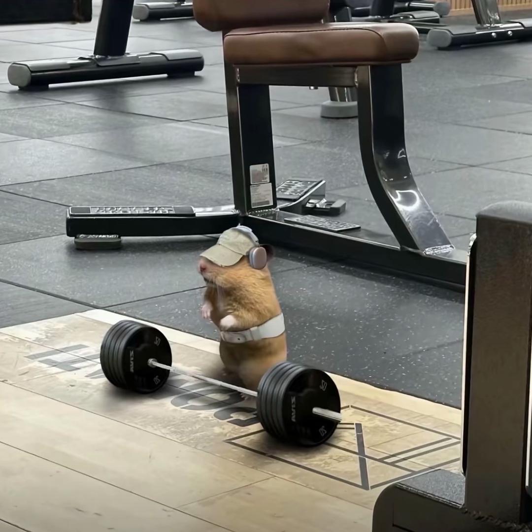 FT